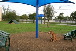 dog park in palm beach - lilac park